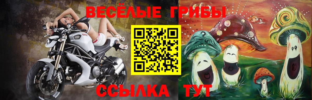 хочу наркоту  Вход с VPN  Советский  Псилоцибиновые грибы мухоморы 